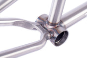 2-Short Frame / clear coat raw