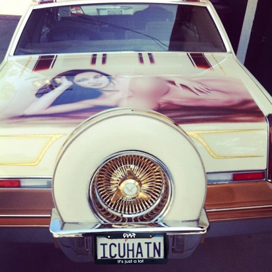 It's Just A Lot / license plate frame