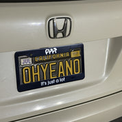 It's Just A Lot / license plate frame