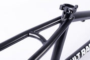 Race Frame / disk brake / black
