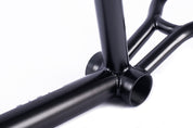 Race Frame / disk brake / black
