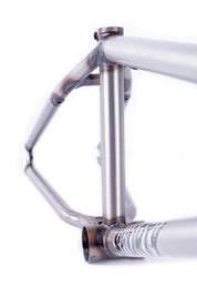 Shorty Frame / clear coat raw