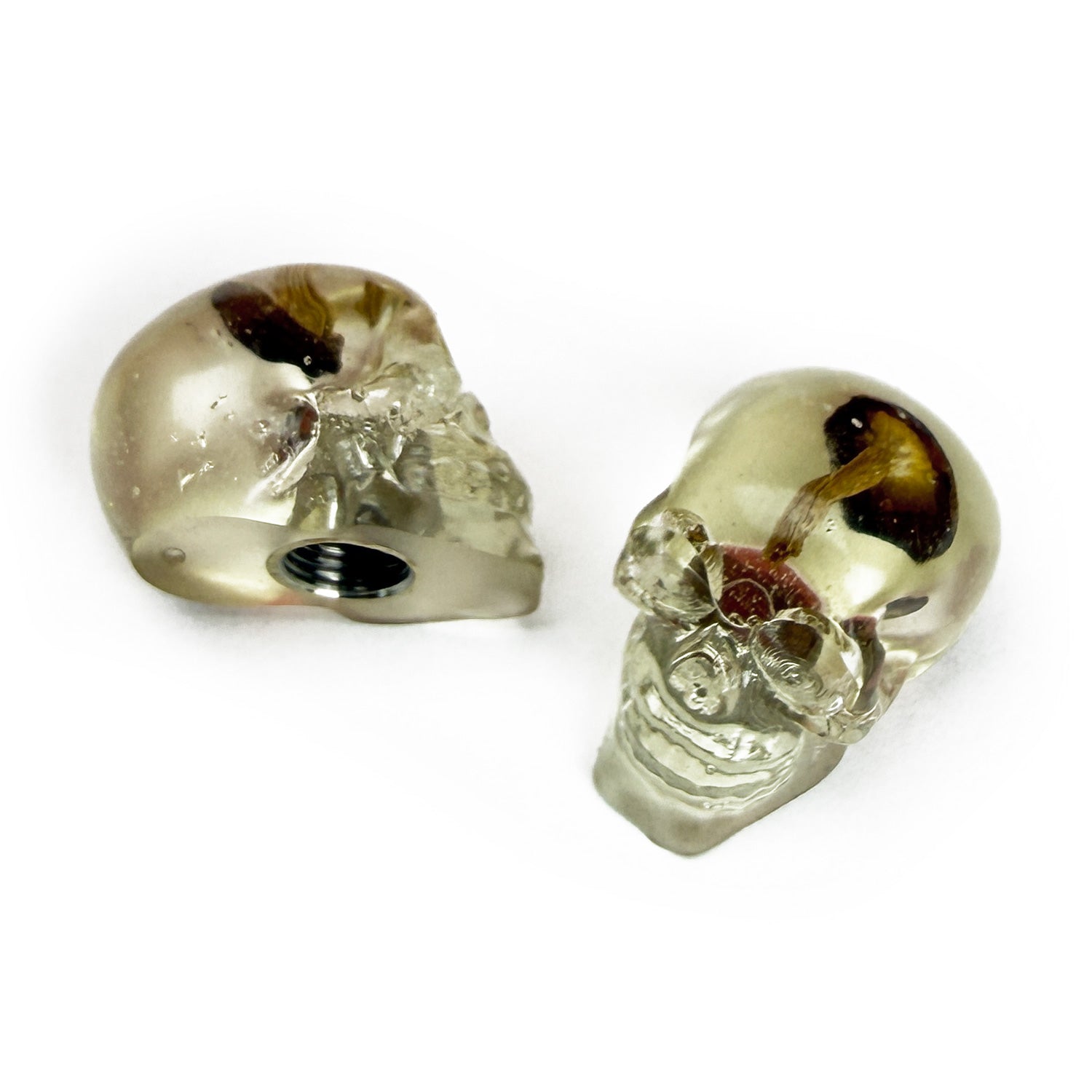 shroom-head.jpg